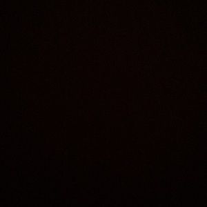 Meet your Posher, Benjamin